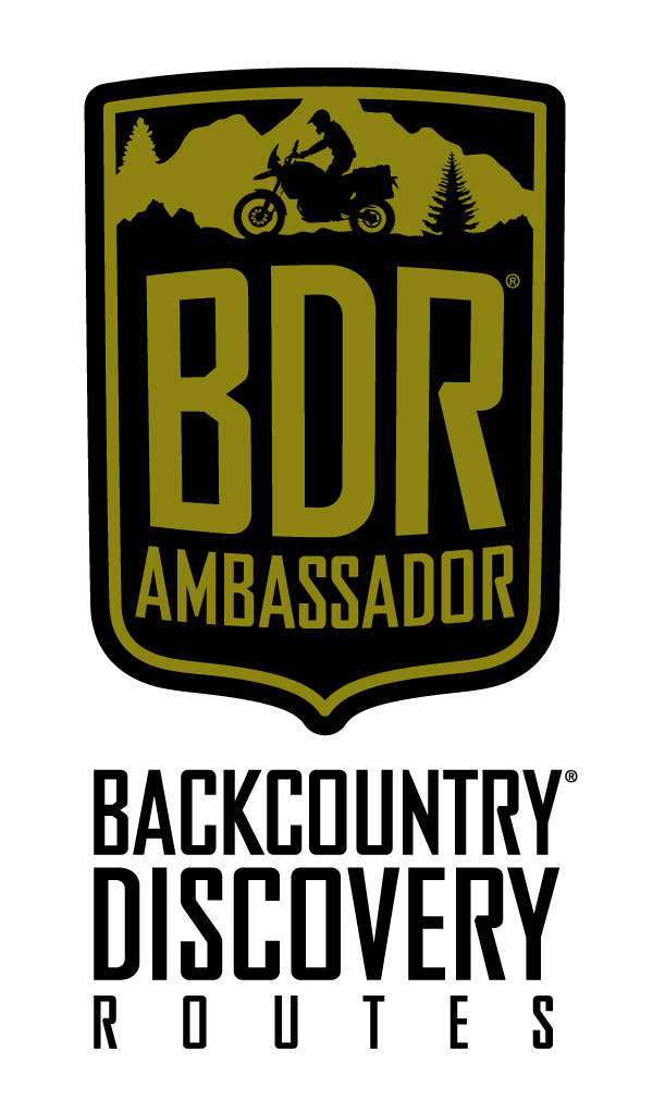 BDR Ambassador BDR Logo.png