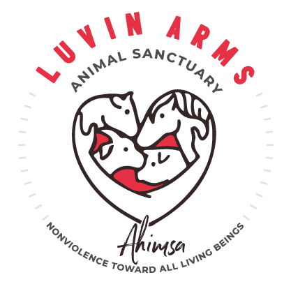 Luvin-Arms-Logo-square-full-1.png