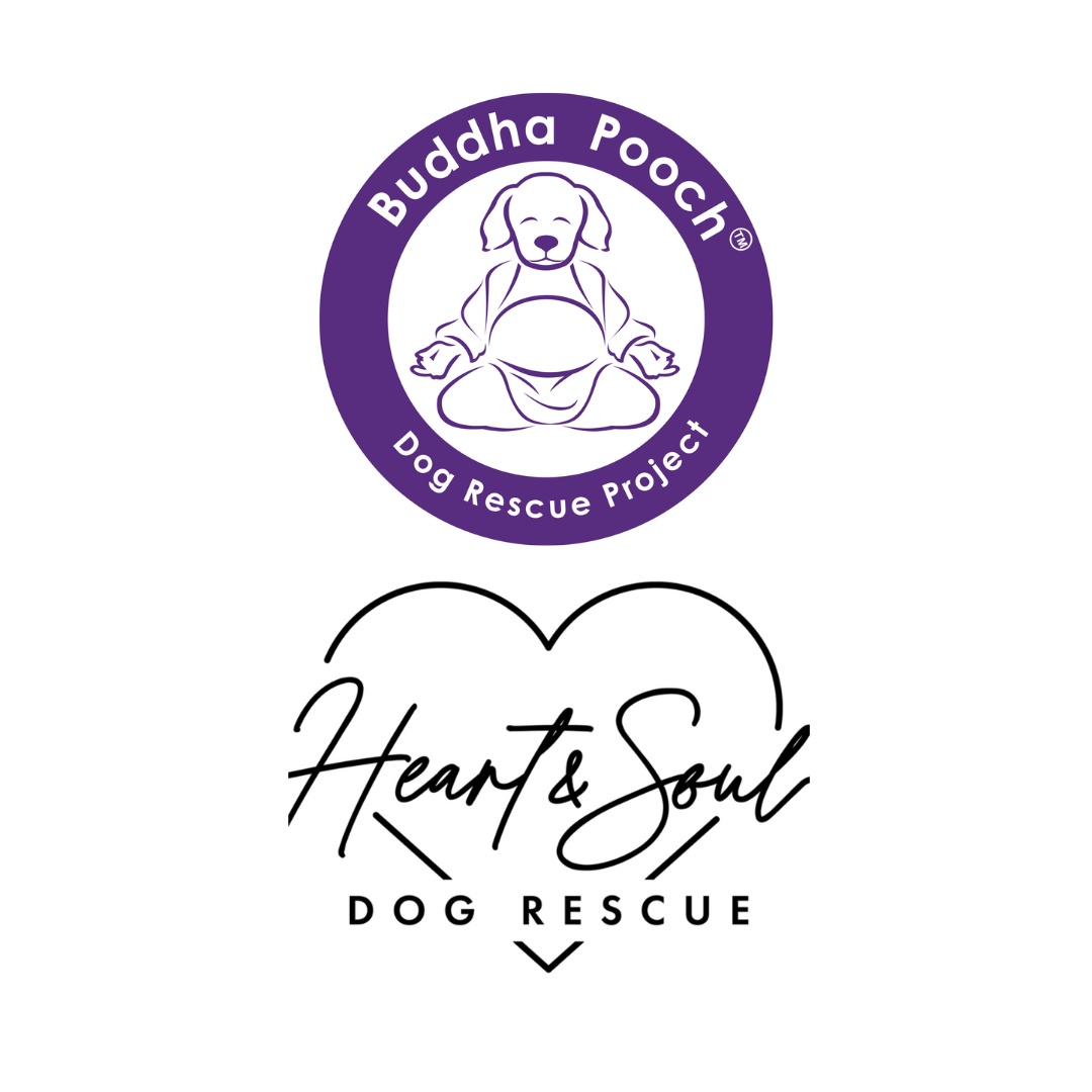 Buddha Pooch and Heart & Soul logos