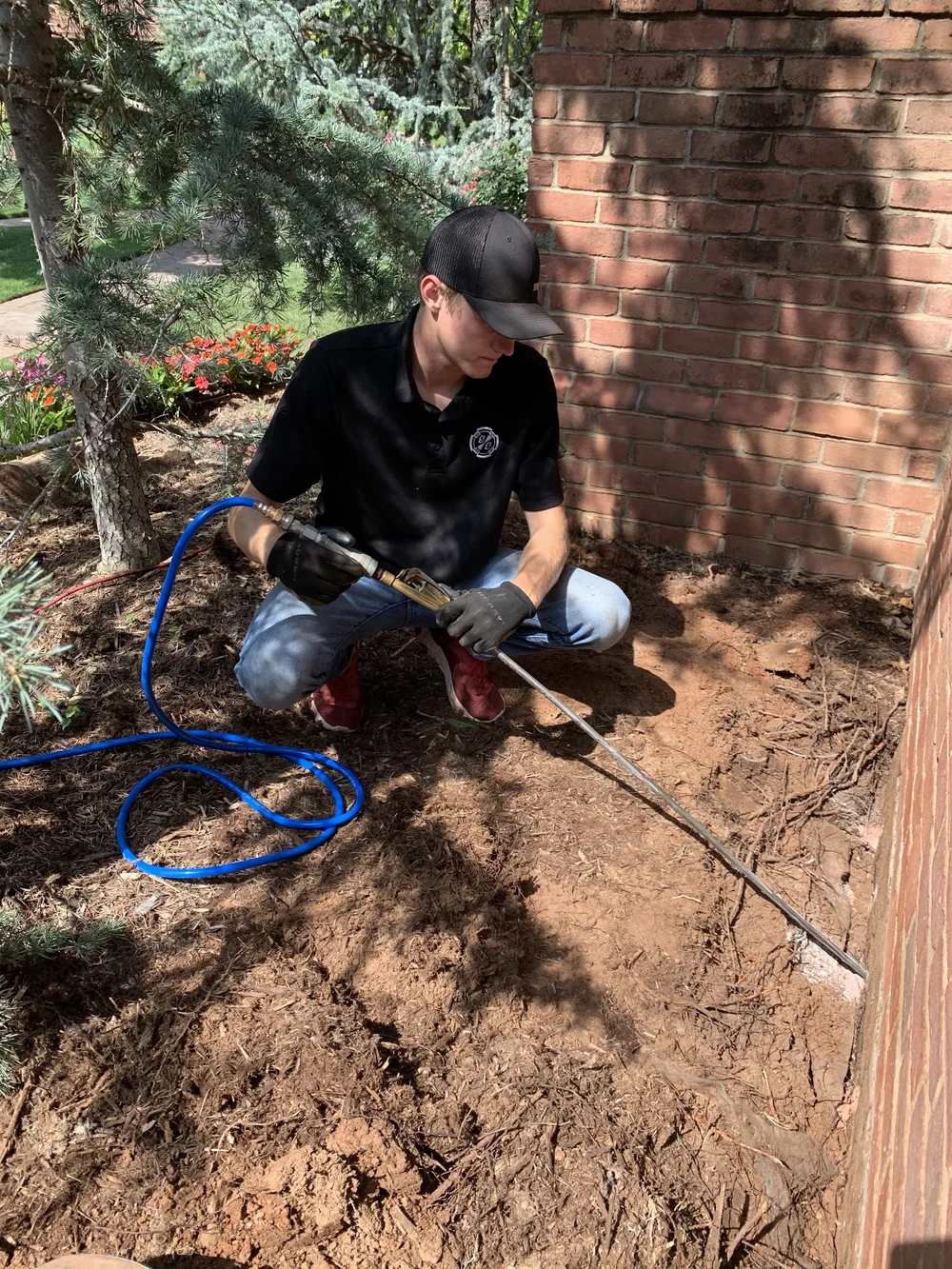 Termite Control — Sure Shot Pest & Weed Control