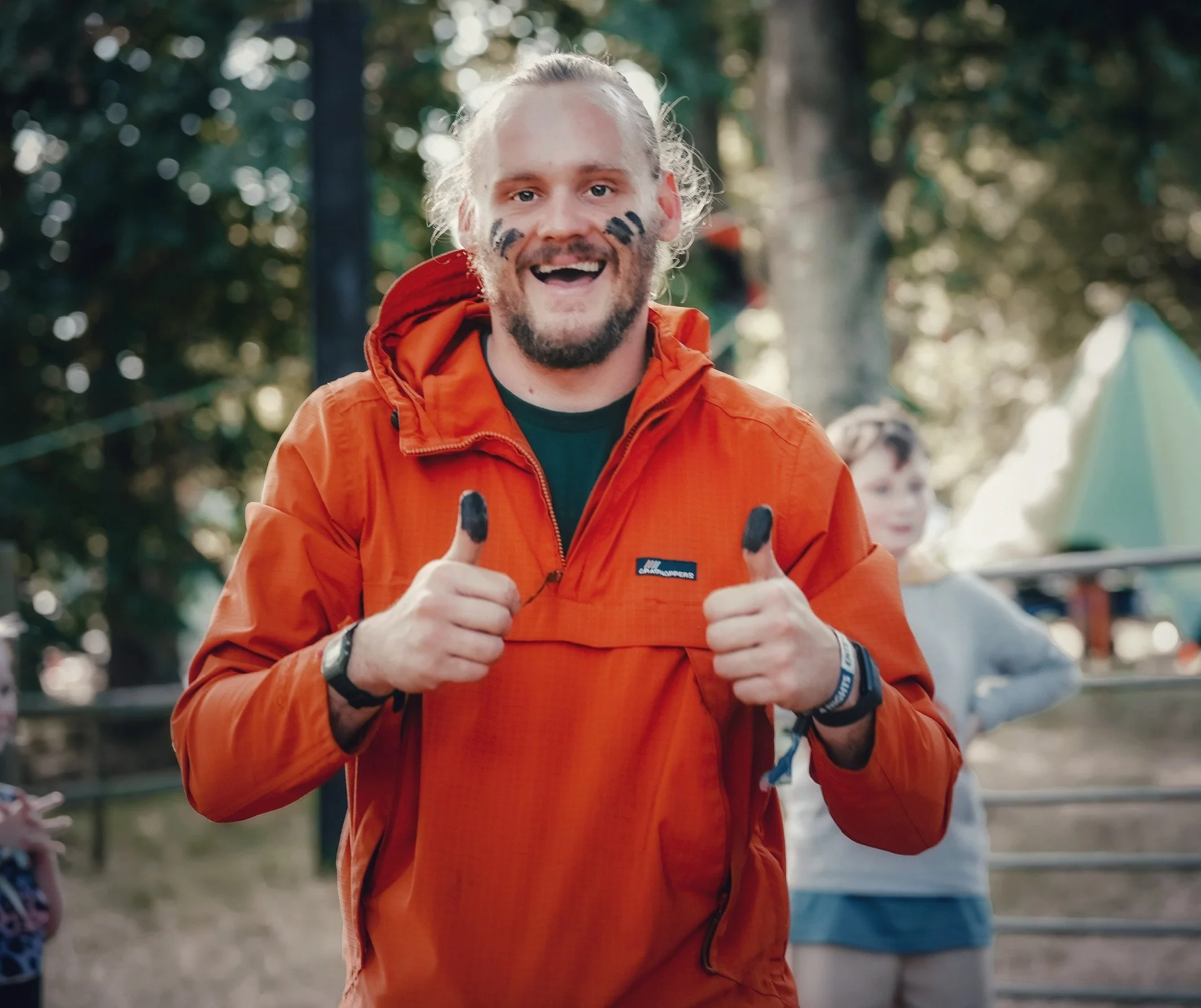 Sunflower with yellow petals and green leaves in a field during sunset.