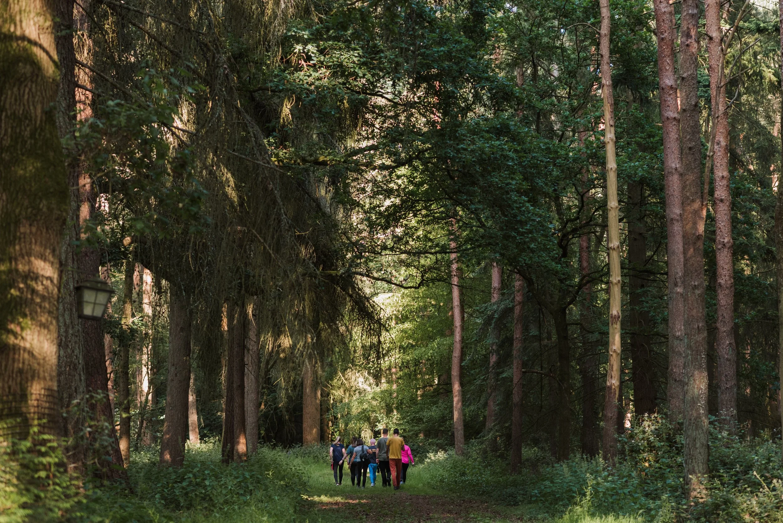 About WildStrong | Community-Based Outdoor Fitness & Play