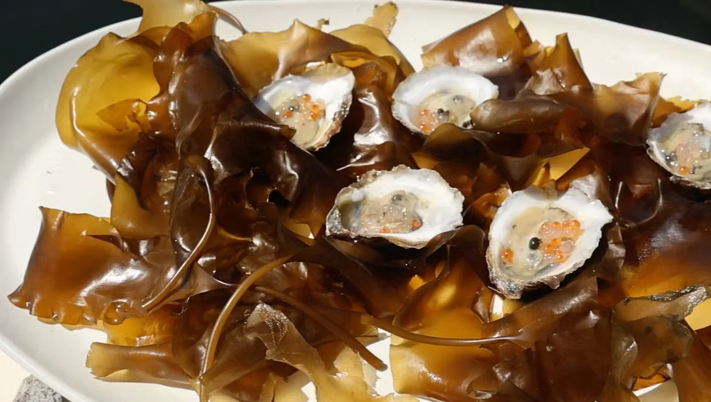 kelp and oysters.jpeg