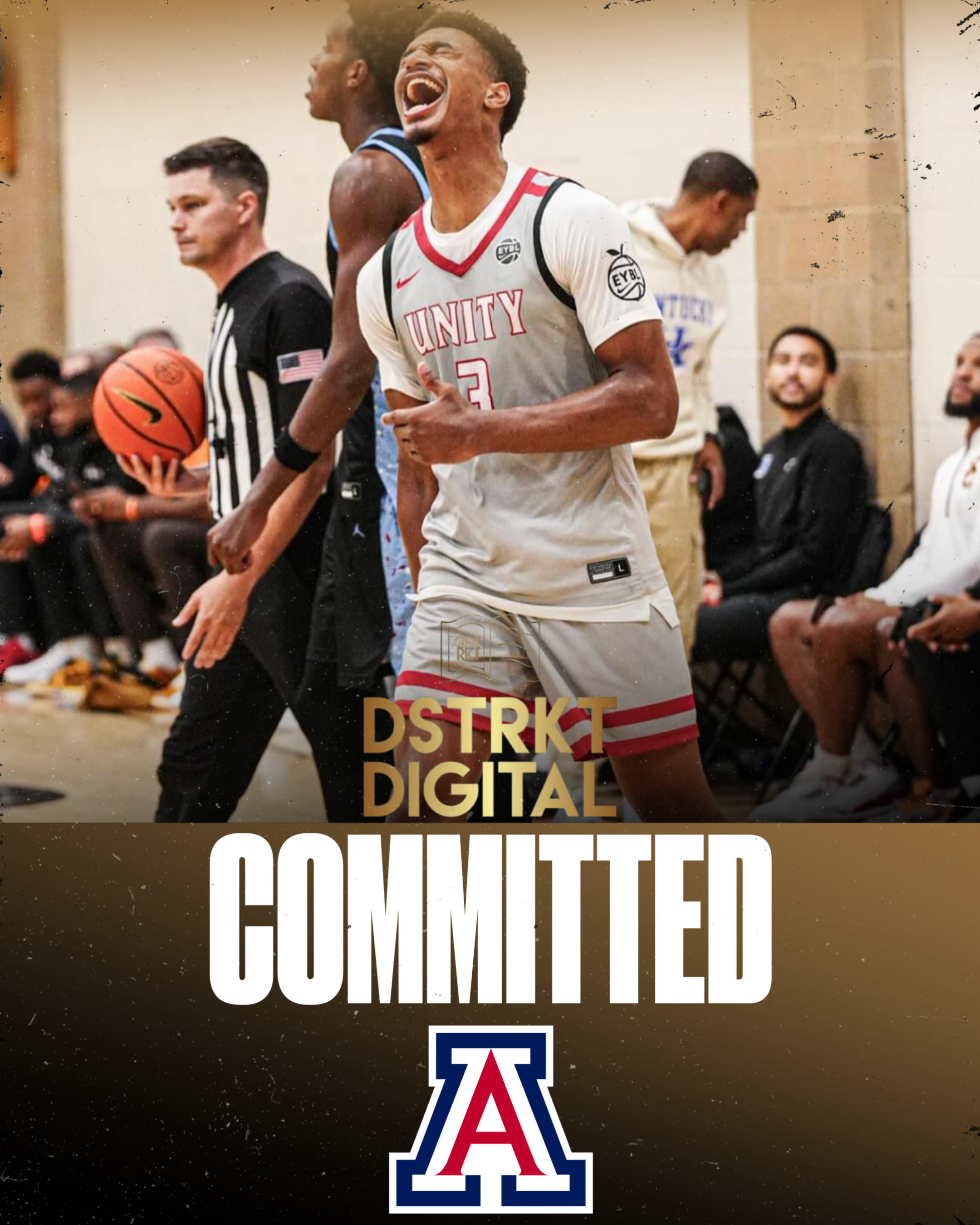Top-35 Recruit Cameron Holmes commits to Arizona