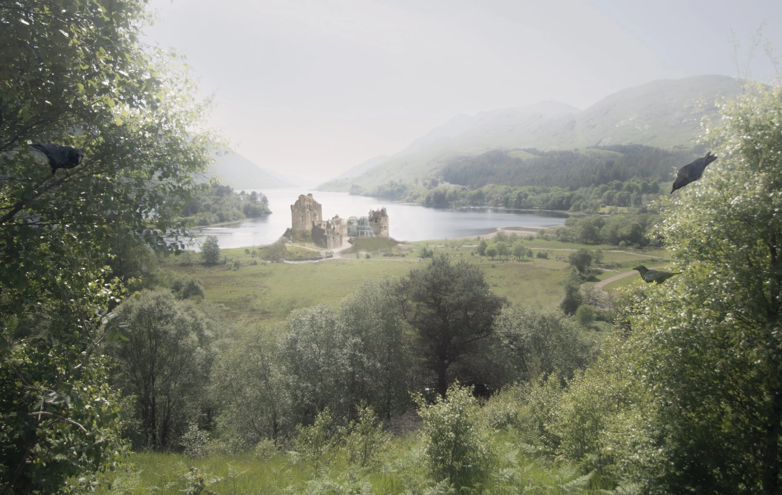 Haldane_BG.jpg