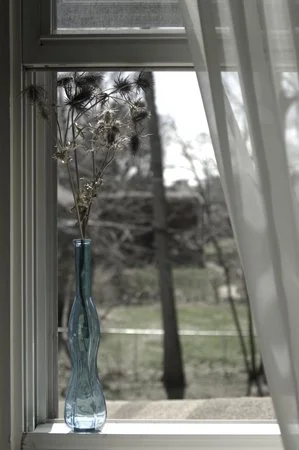 Winter to Spring.jpg