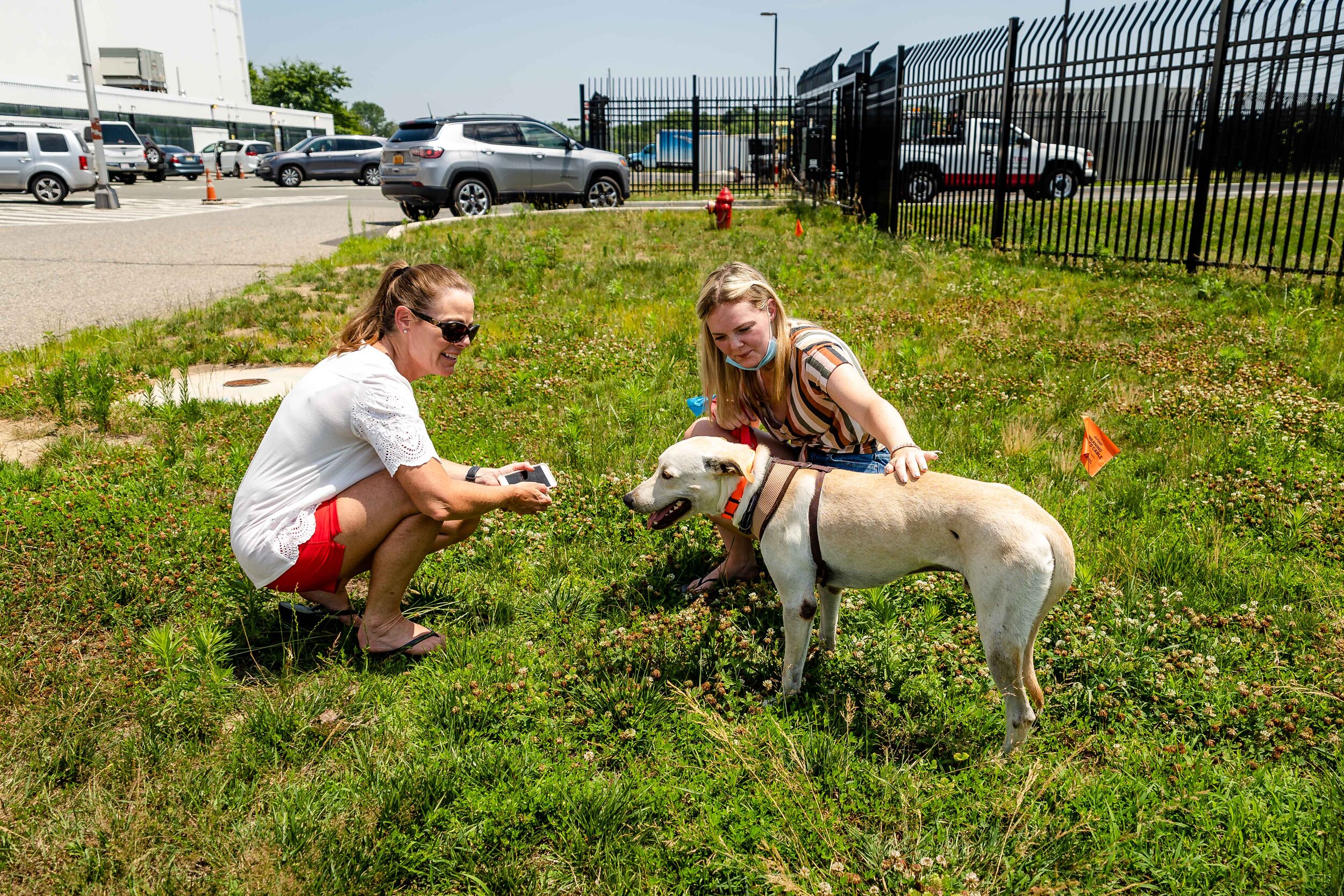 0750_SatoProject-MissionPossible11_2020-07-05_©NYCPetPhotographer.jpg