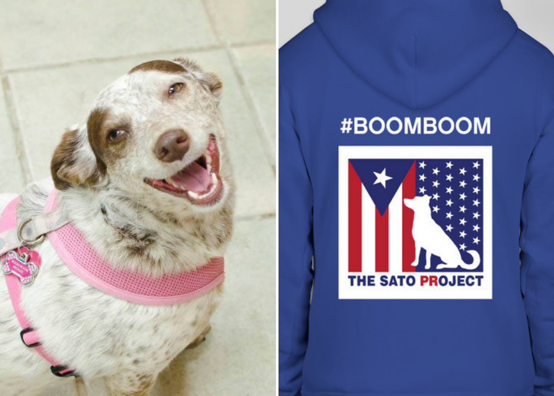 #BoomBoom Legacy Sweatshirt