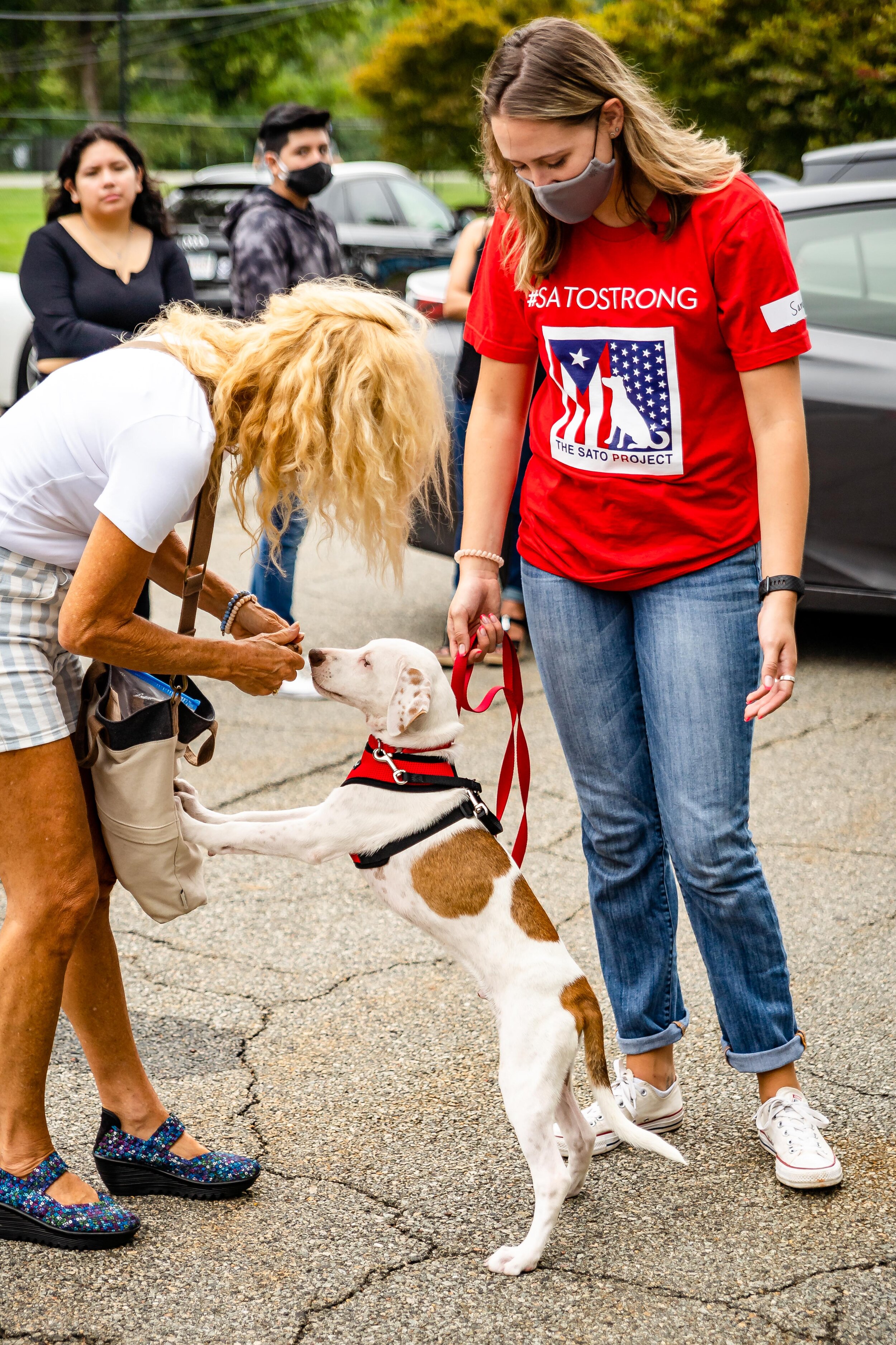 Photo by @NYCPetPhotographer