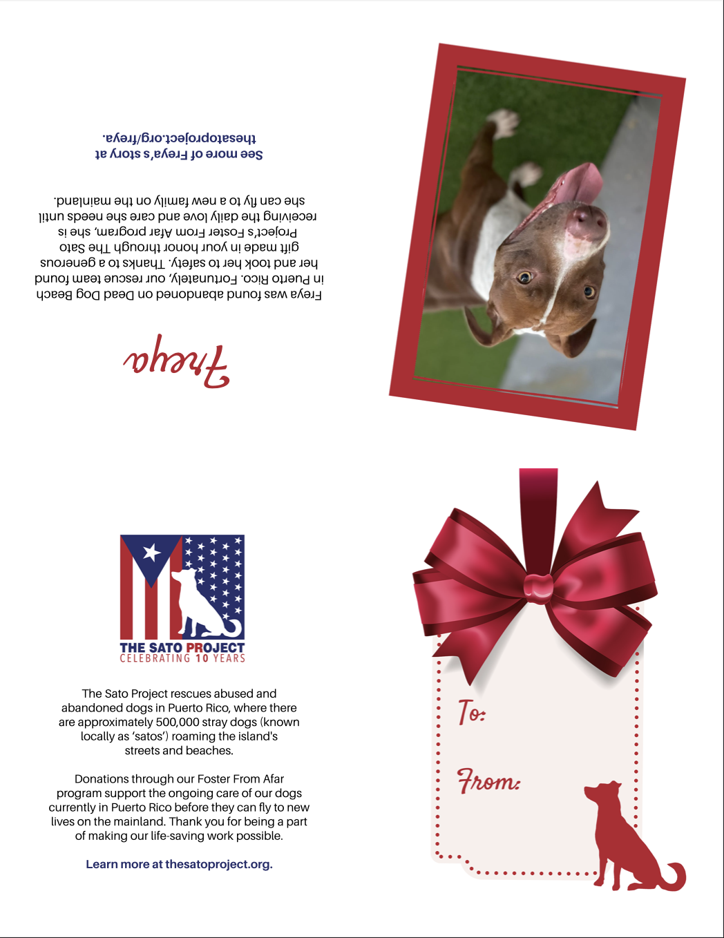 You'll also receive this printable card to give your donation as a gift!