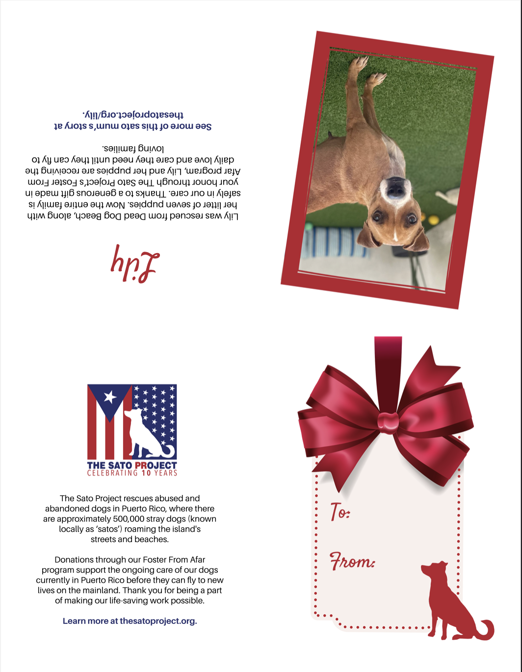 You'll also receive this printable card to give your donation as a gift.