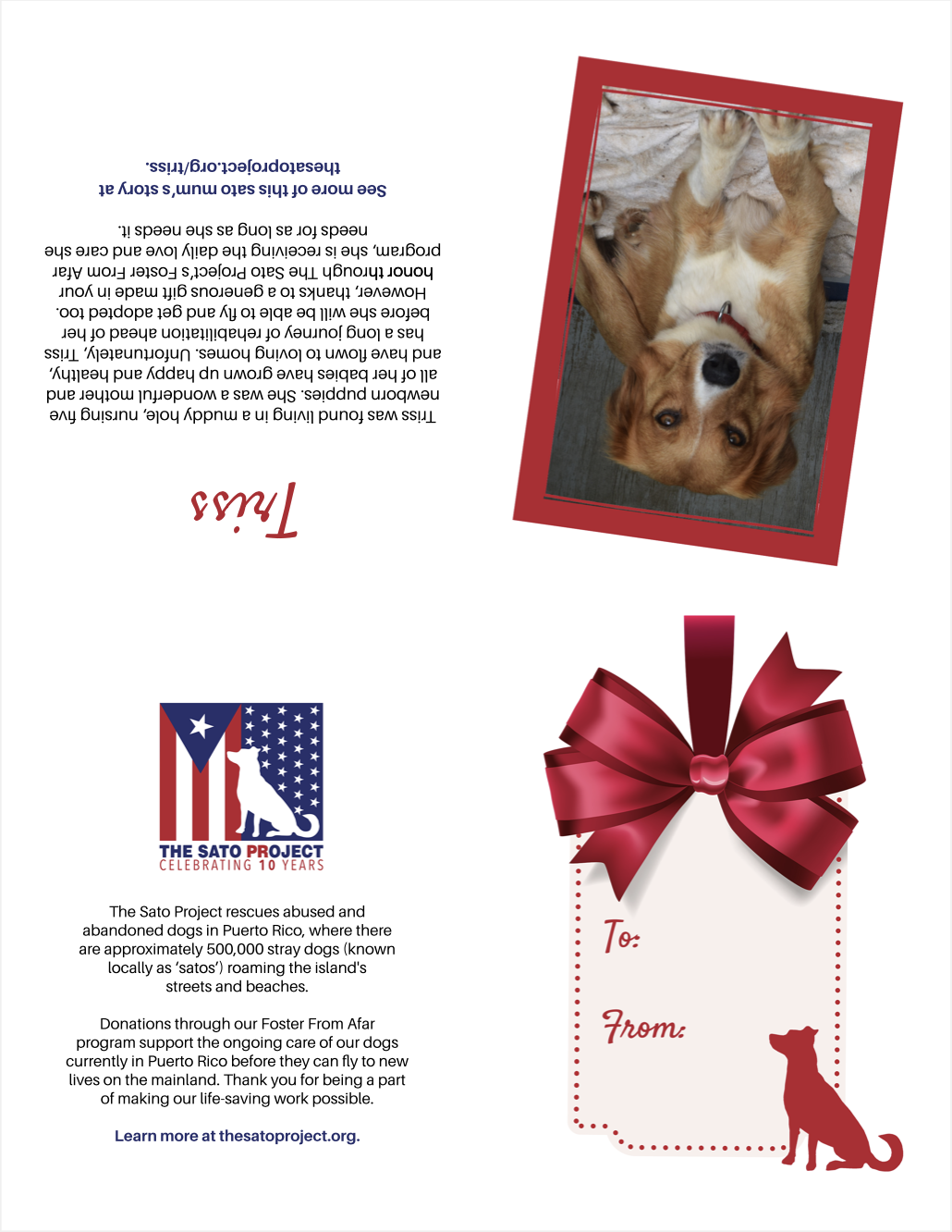 You'll also receive this printable card to give your donation as a gift!