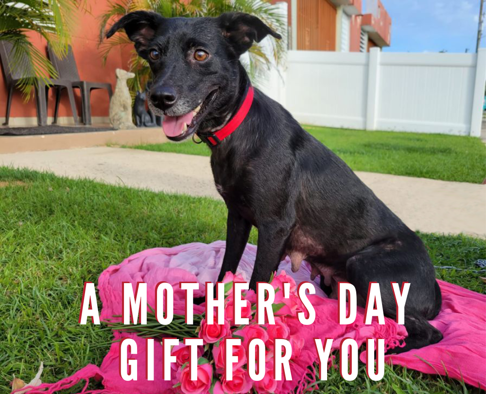 Mothers Day E-Card 2021, Grace.png