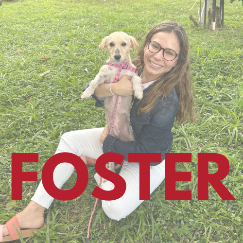 FOSTER BUTTON FOR WEBSITE (1).png