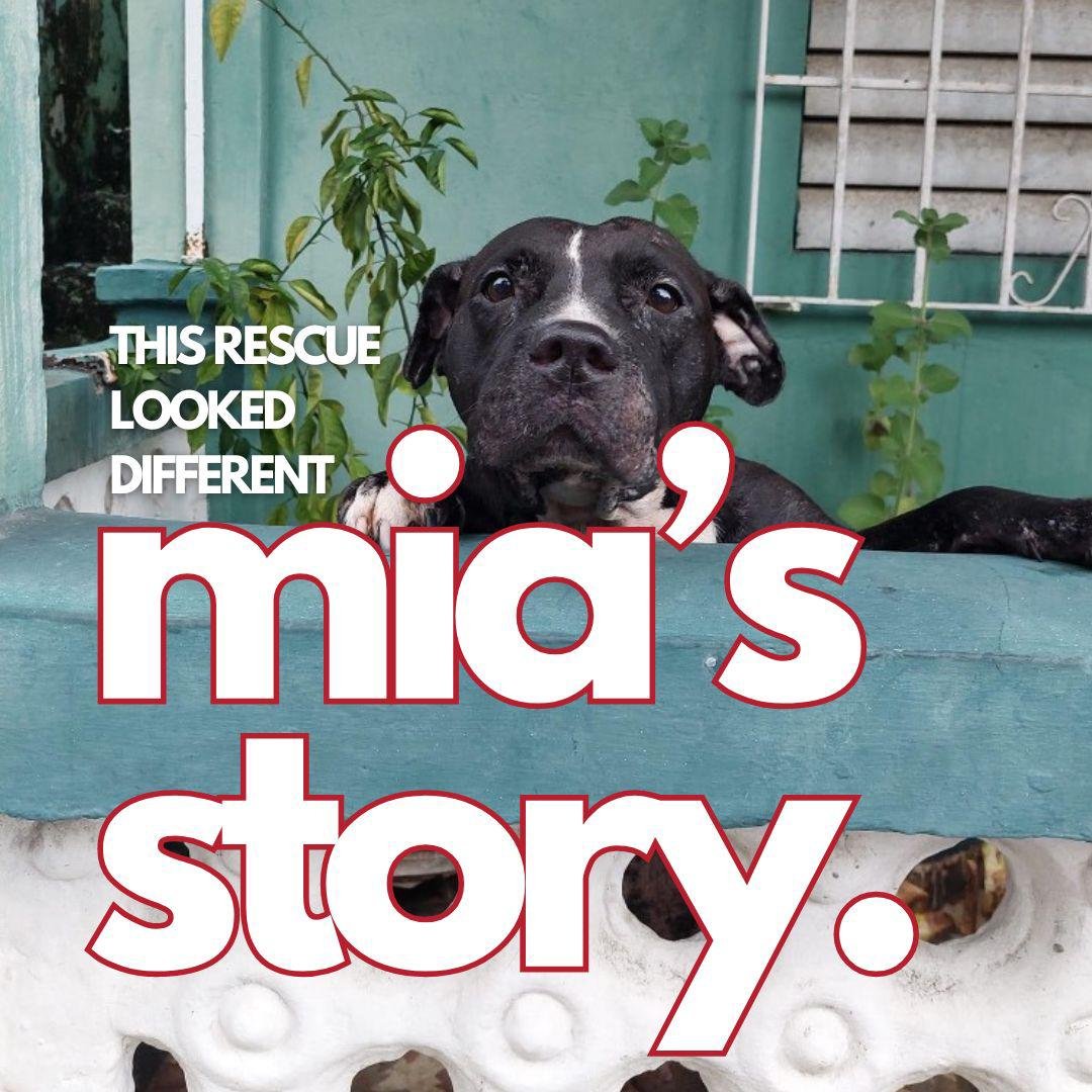 Mia's story