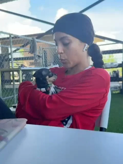 JOEL THEN AND NOW ➡️

Joel was just 3 weeks old and weighed only a few ounces when he was rescued, and is now a healthy puppy of 4 months, weighing 9.6 lbs 😍

Joel captured hearts when he was rescued from the Manat&iacute; hoarding crisis with his m