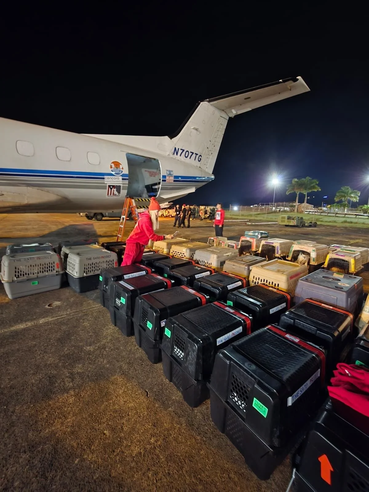 115 satos and gatos are on their #freedomflight to NJ!

Families who have never physically met their new best friend will in a few hours finally get to hold them in their arms. 

Tonight is why we do what we do.
The heartache, the stress, the 24/7/36