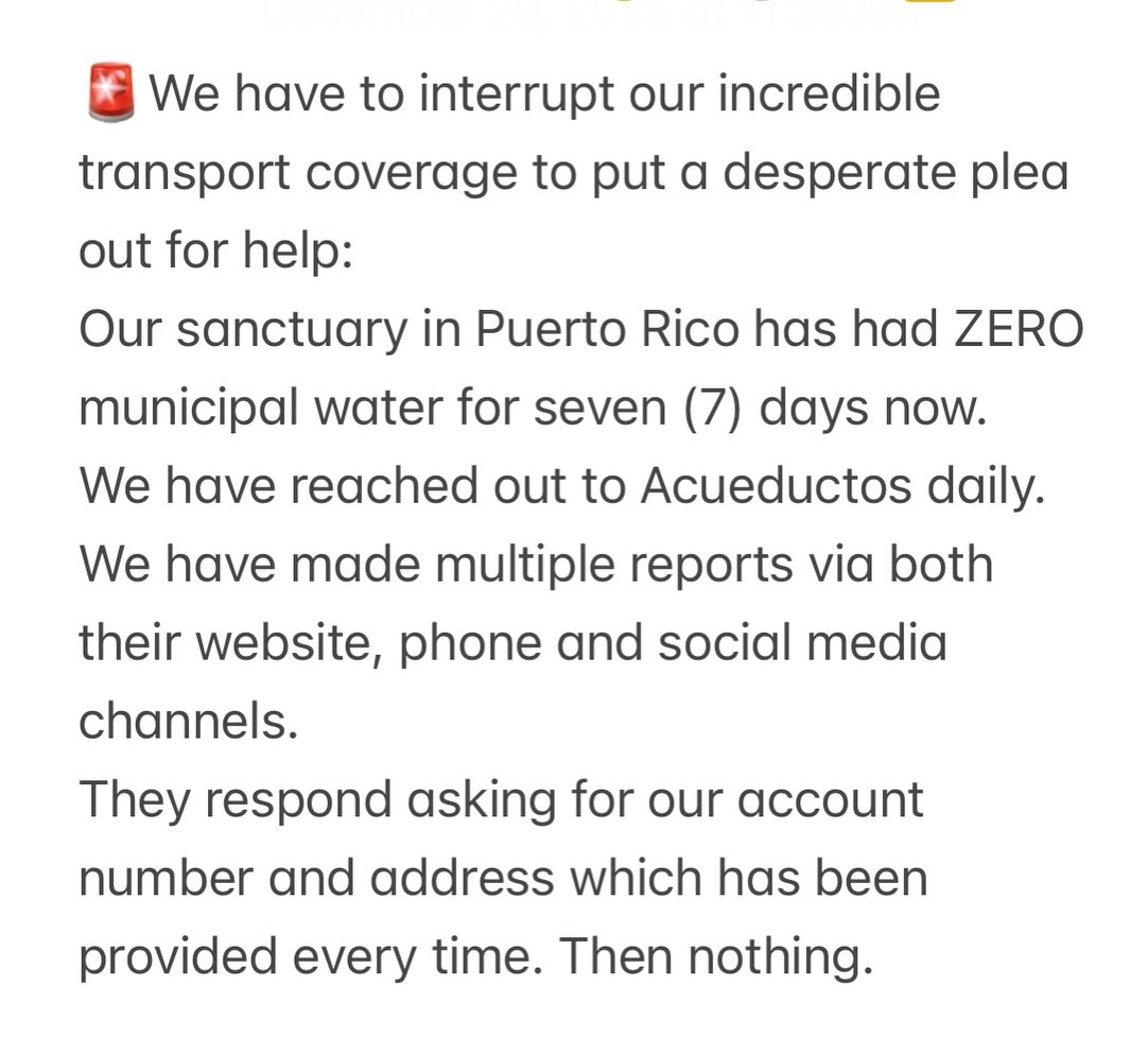 PLEASE SHARE‼️: We have to interrupt our incredible transport coverage to put a desperate plea out for help:
Our sanctuary in Puerto Rico has had ZERO municipal water for seven (7) days now. 

We have reached out to @acueductospr daily. 

We have mad