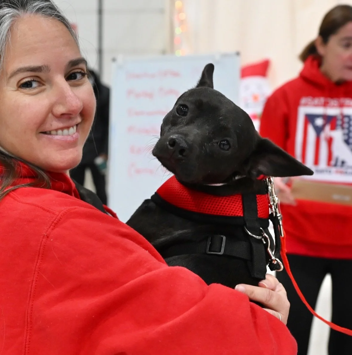 Hoarding pupdate: TYLER in foster and reunited with his brother!

Sweet boy TYLER is loving foster after he made his Freedom Flight a few weeks ago. Not only has he been having fun playing with his two dog foster siblings, but he got to have a play d