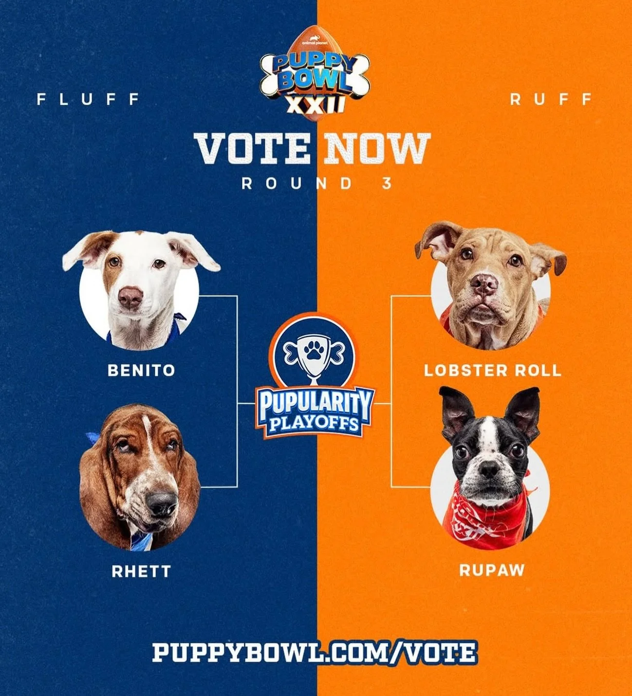 BENITO MADE IT TO THE FINAL 4️⃣!!! We are so proud of how far he&rsquo;s come in the PUPULARITY PLAYOFFS - victory is within sight! But we&rsquo;re not quite there yet. VOTING IS OPEN NOW TO ADVANCE HIM TO THE FINALS, REPRESENTING TEAM FLUFF 💙

You 