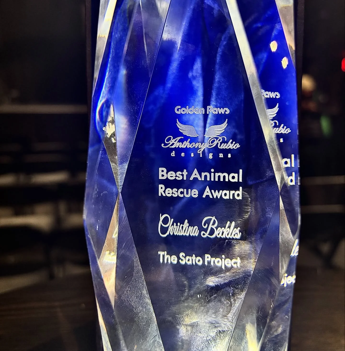 Congrats to our fearless leader @chrissybeckles for her special win at the GOLDEN PAWS AWARDS! Chrissy took home Best Animal Rescue for her work building this incredible organization. The Sato Project would not be here without her tireless dedication