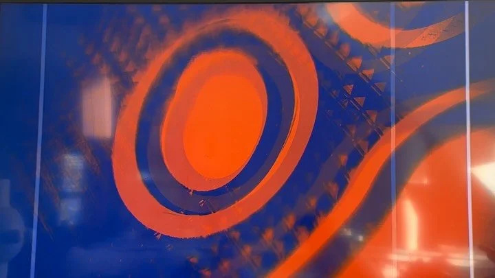 Representing 🇵🇷🇵🇷🇵🇷 in Puppybowl it&rsquo;s Juana!

Taking names and making plays!

#satostromg #BenitoBowl #Puppybowl