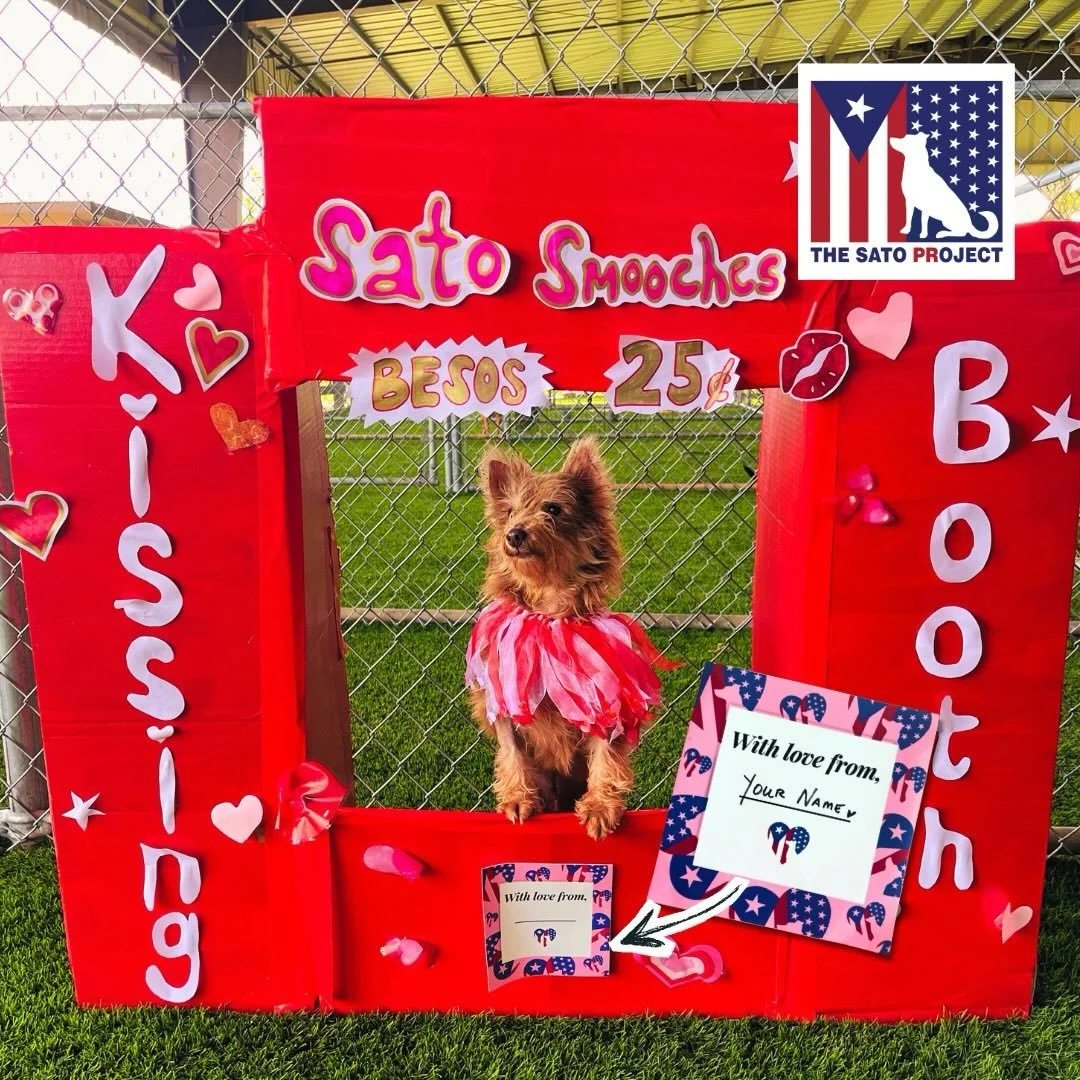 BESOS FOR SALE! Check out the Sato Kissing Booth we set up at Sanctuary by @thesatoproject!

Want your own smooch from a sato? A donation of $250 or more to our Love Is In The Air campaign gets you a dedicated photo of one of our dogs in the Kissing 
