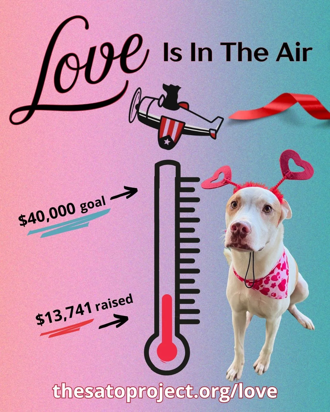 As we are only TWO DAYS out from our Freedom Flight, it&rsquo;s essential to sustain the momentum of our Love Is In The Air campaign and get our pups to their new homes on the mainland! 💘

Since launching our campaign, over 100 donors have already h