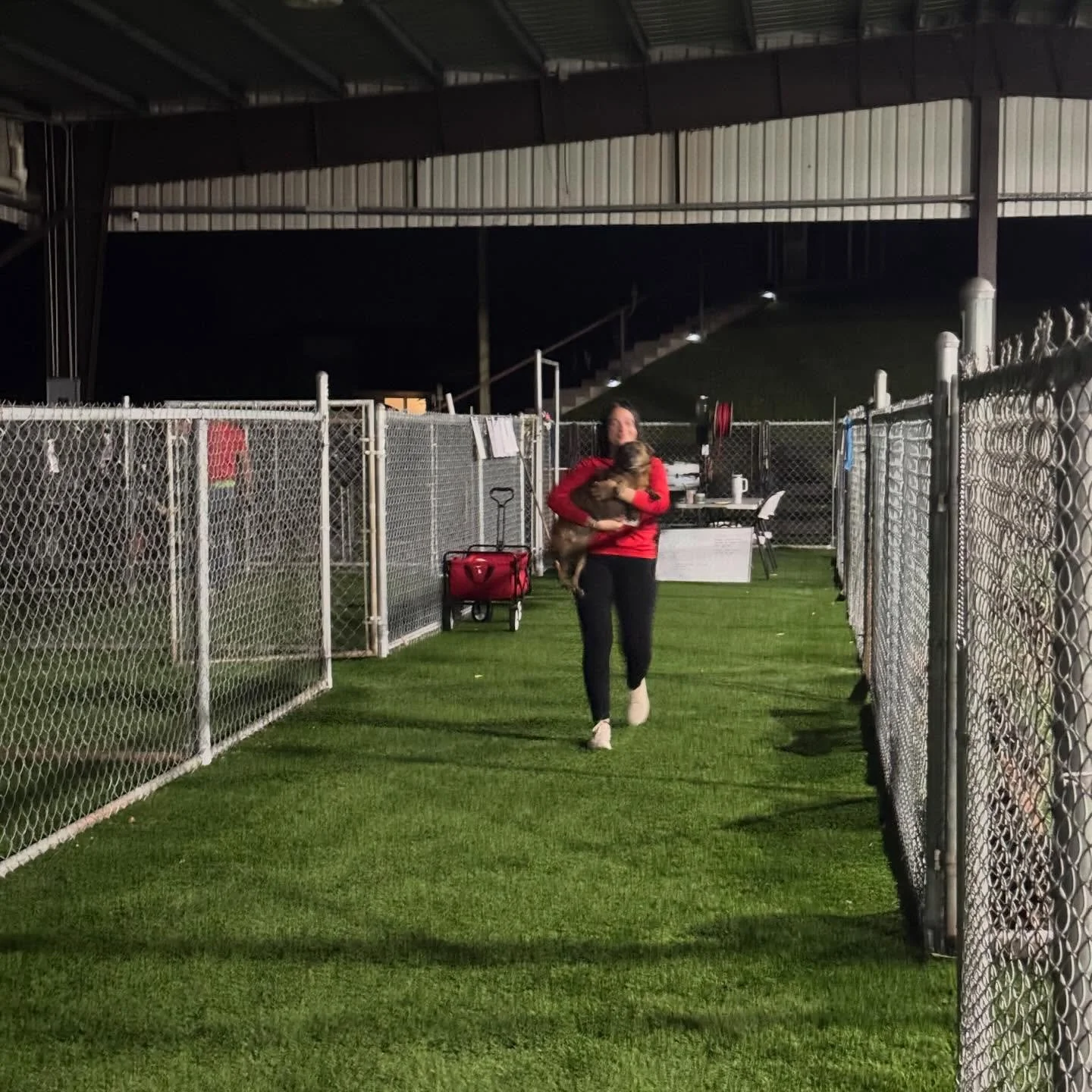 We started prepping in the middle of a chilly Puerto Rican 🇵🇷night for our #freedomflight today!

There are thirty (30) lucky satos flying to their new lives this morning. Families are waiting anxiously and excited to meet their new best friends ❤️