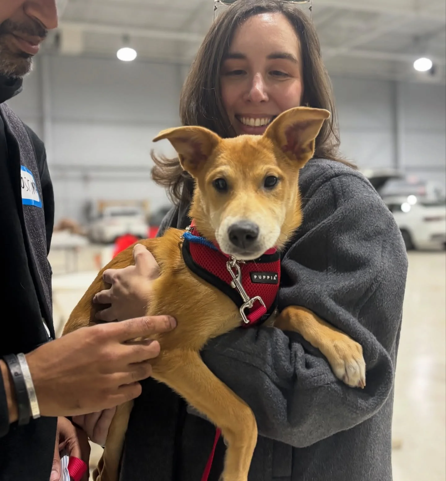 LOVE IS TRULY IN THE AIR &hearts;️ Welcome to the start of the rest of your lives, little ones. We can&rsquo;t wait to see what forever has in store for you.

More videos and stories soon to come!

If you&rsquo;d like to contribute to transport costs