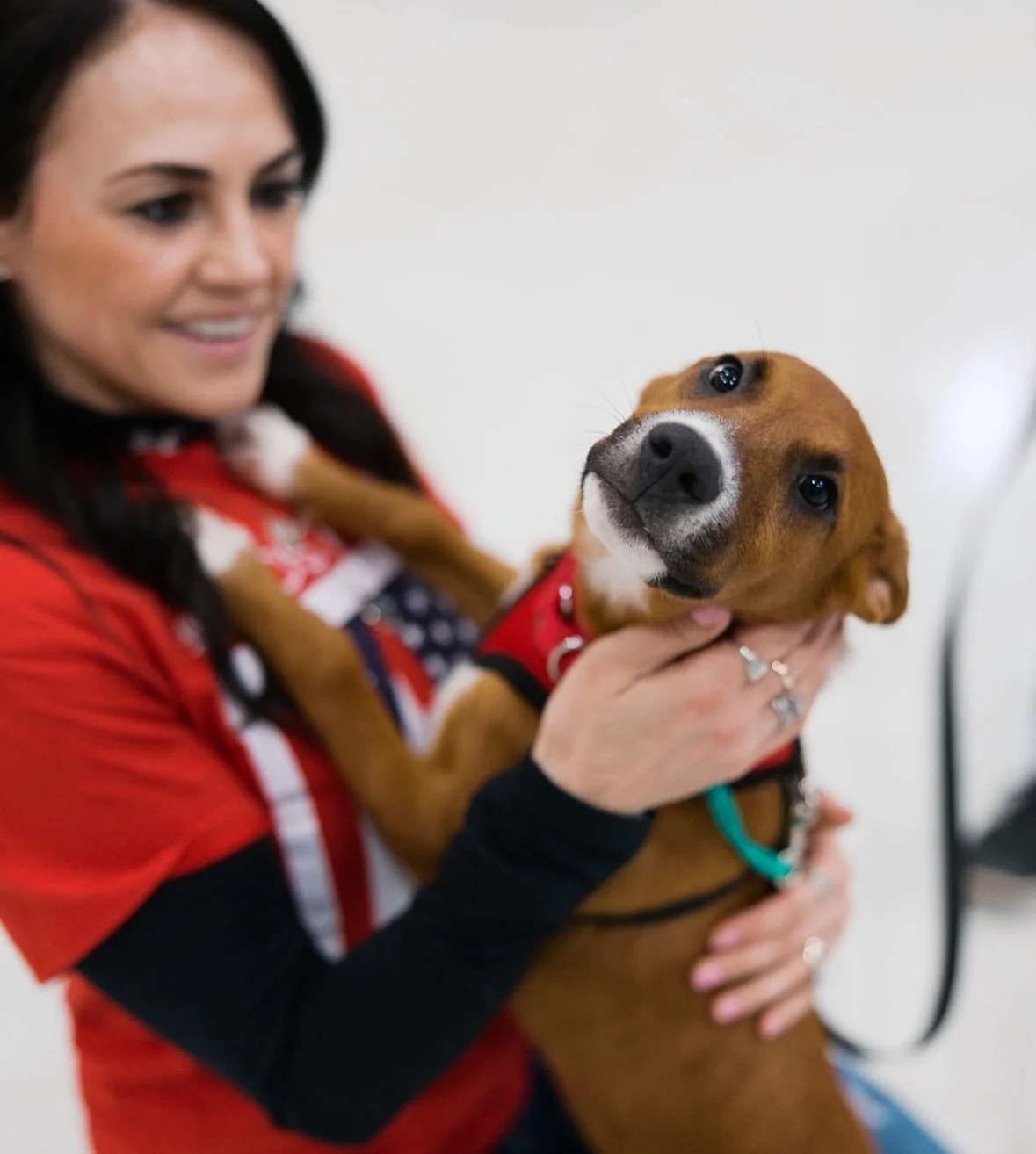 Just a snapshot of how beautiful yesterday was. We woke up feeling so grateful. Though our little satos are exhausted from the long stressful journey, it&rsquo;s a drop in the bucket compared to the rest of their lives spent in safety in comfort. 

T