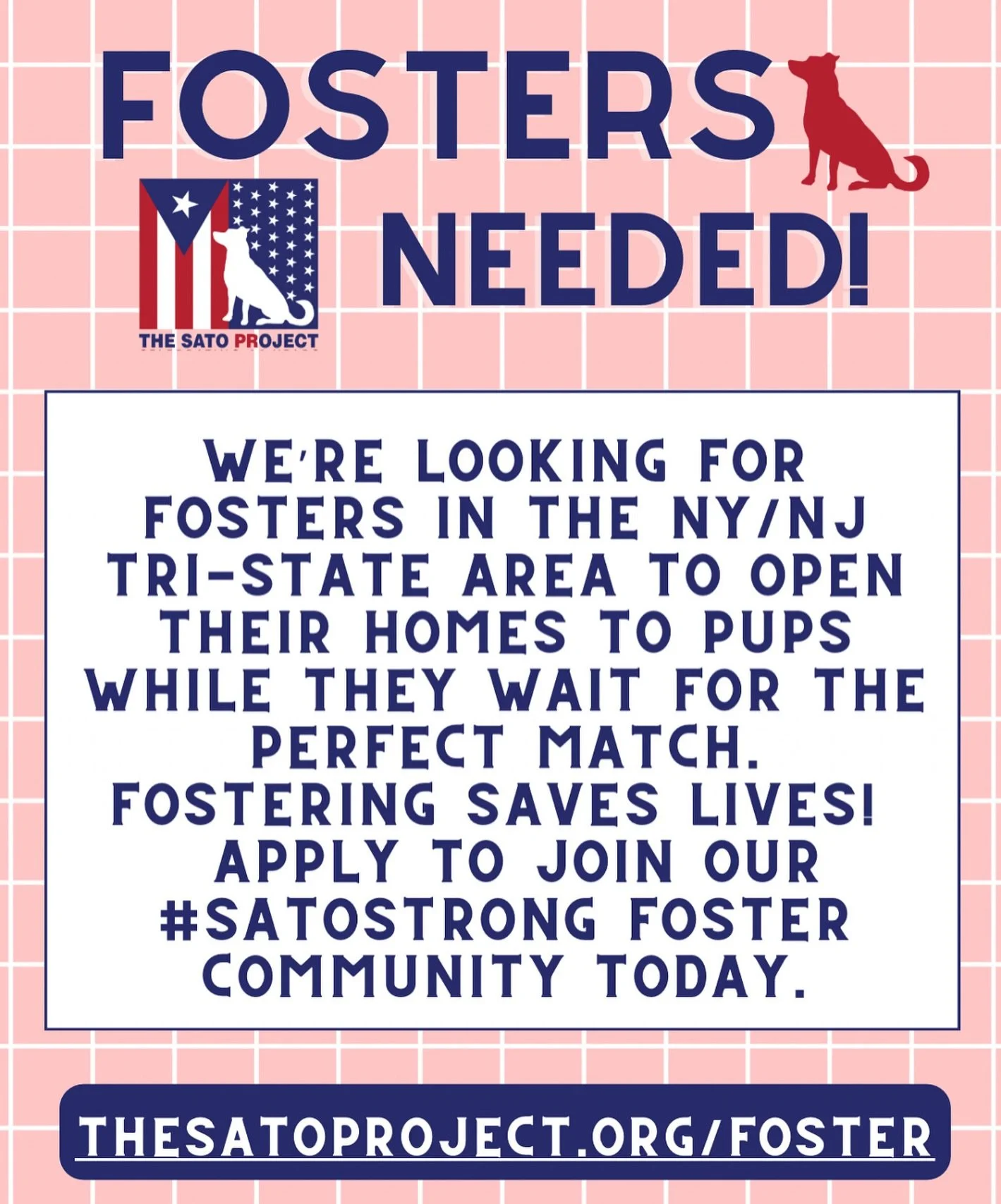 We have satos coming to the mainland soon, and the ones who haven&rsquo;t been adopted will go into foster! 

When you foster an animal, you&rsquo;re saving TWO lives - the one you&rsquo;re opening your home to, and the one who can fill that new vaca