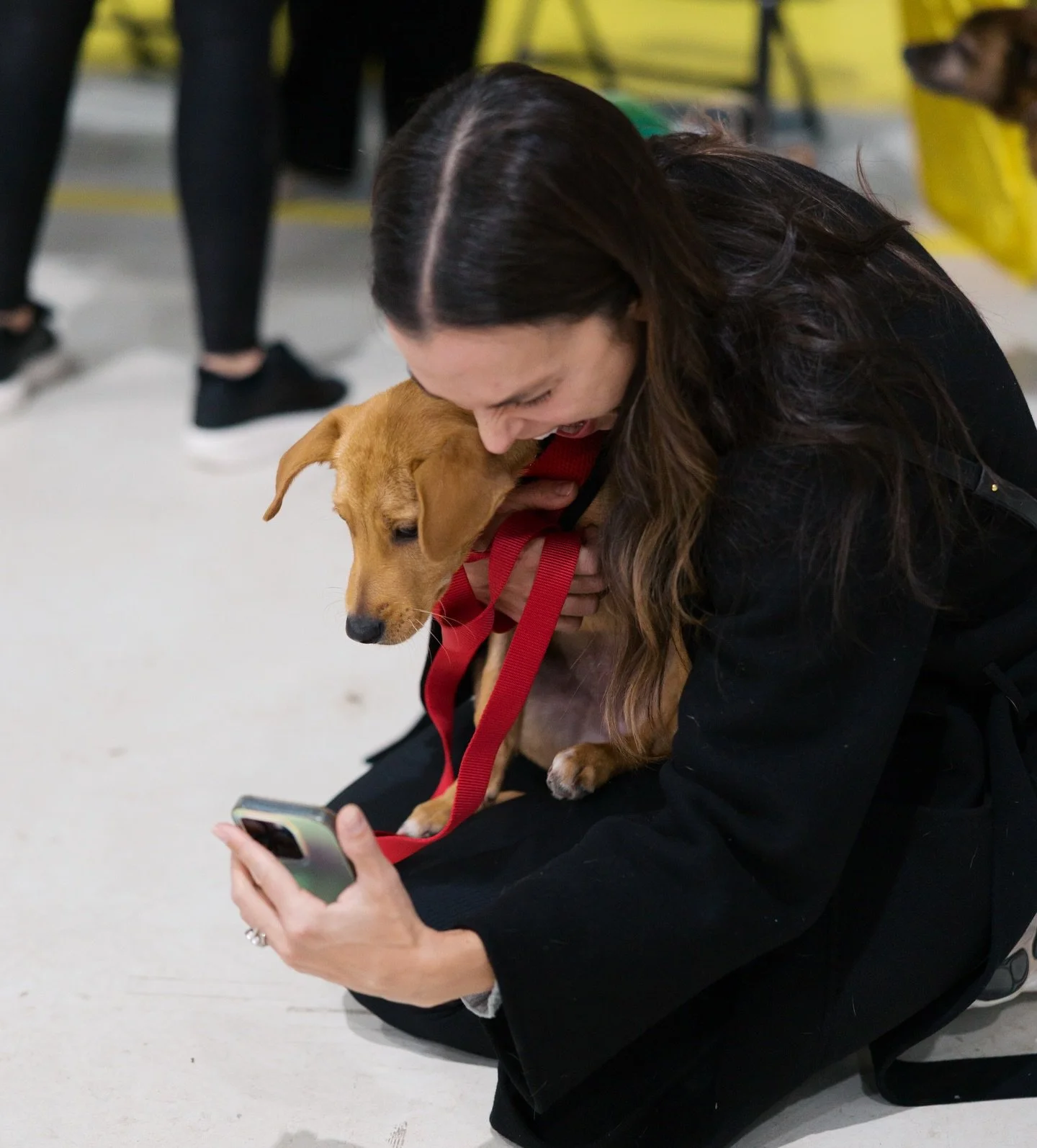 One of the reasons we need fosters right now&hellip;.

They keep &ldquo;failing&rdquo; !! 😂

We can&rsquo;t get over this sweet moment from our most recent Freedom Flight, when our foster Katarina met Eve, the little sato puppy she had signed up to 
