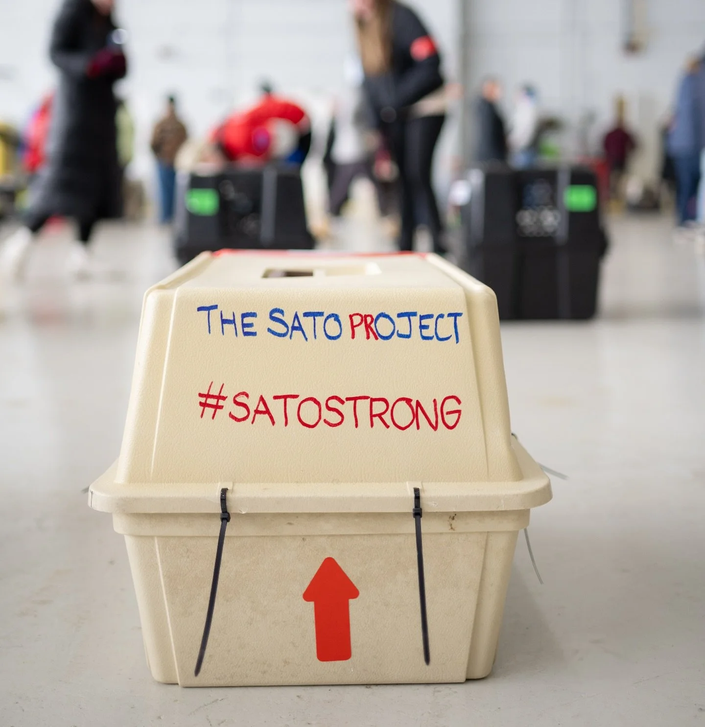 TOMORROW, the announcement you&rsquo;ve been waiting for from The Sato Project&hellip;

We&rsquo;re changing the game on safe, responsible animal transport.

We&rsquo;re setting the standard for rescuers across the island. 

We&rsquo;re insisting on 