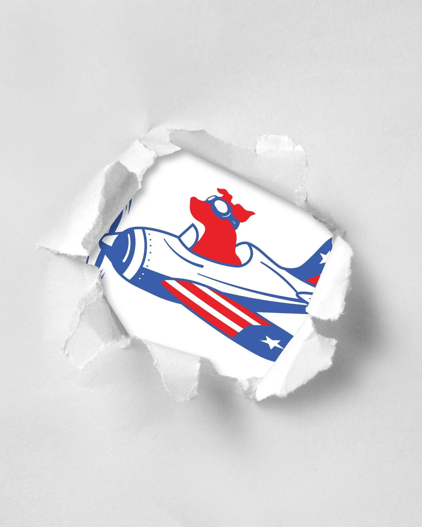 🚨In response to increasing limitations on commercial and cargo transport, The Sato Project is taking flight in a bigger way ✈️ We&rsquo;ve launched a strategic expansion of our Freedom Flight program to overcome the hurdles that stand between a resc