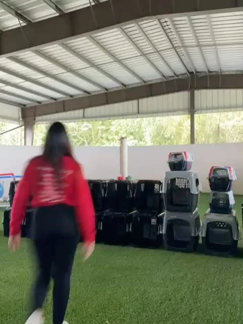 In our 15th year of operation, The Sato Project is running its final Freedom Flight under the old model. This Thursday, dozens of satos will fly from Puerto Rico to Morristown, NJ as they have countless times over the past decade and a half. We are h