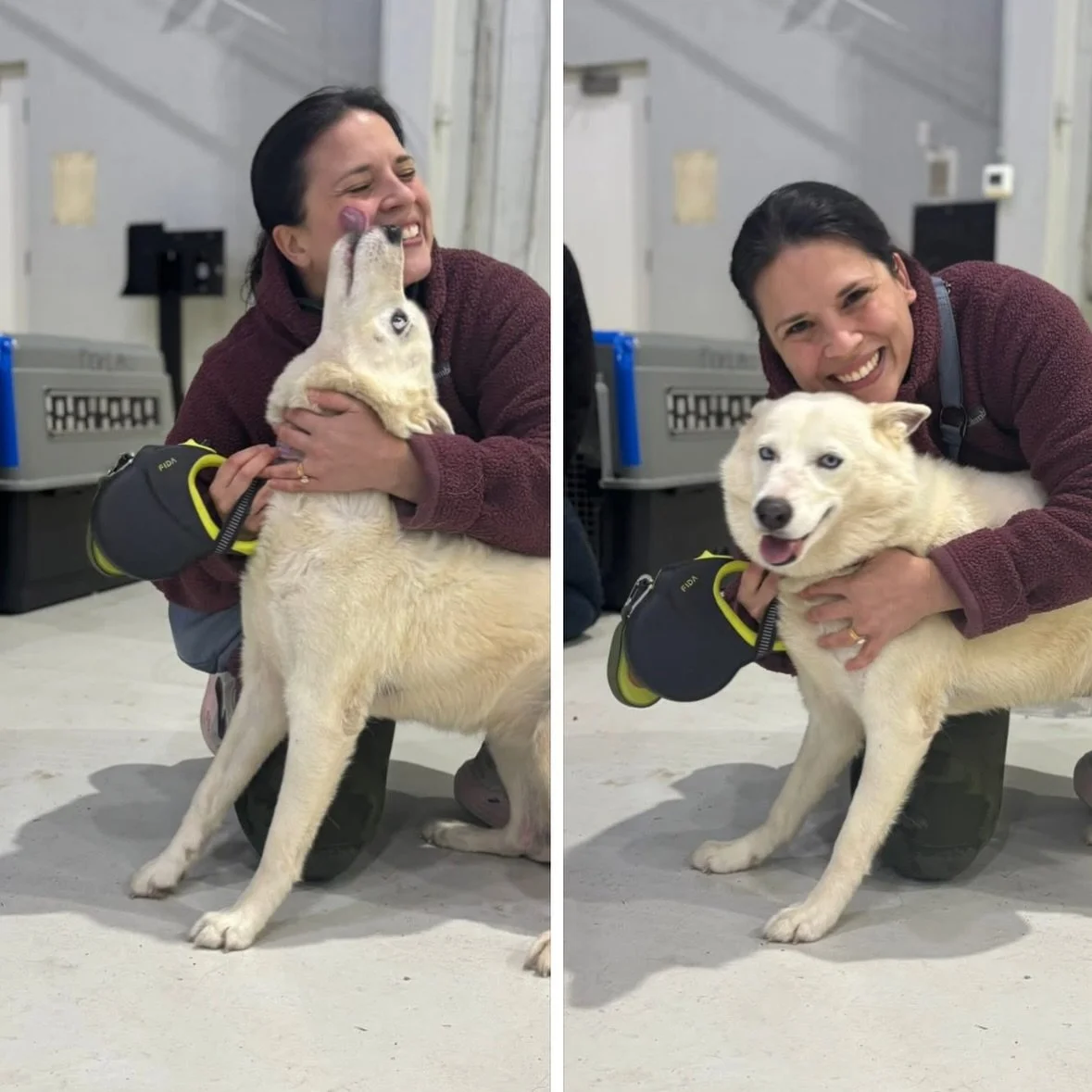&ldquo;She had been chained up all her life&hellip;&rdquo;

At our recent Freedom Flight, Leslie told us the story of how she needed The Sato Project&rsquo;s help to rescue a pup living in terrible conditions in her father&rsquo;s neighborhood. This 