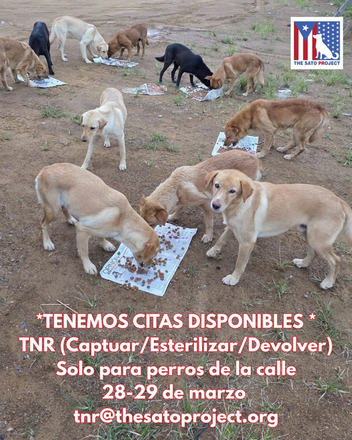 *TENEMOS 60 CITAS DISPONIBLES*

El s&aacute;bado 28 y el domingo 29 de marzo, ofrecemos servicios de TNR (Capturar-Esterilzar-Devolver) SOLO PARA PERROS, bajo nuestro programa #OperationSato. 

LIBRE DE COSTO‼️

Hay espacios disponibles para perros d