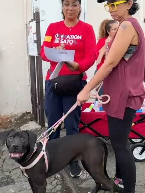 Good morning from sunny Puerto Rico!

It&rsquo;s only early morning but our surgeries started almost 2 hours ago on day 2 of our Operation Sato TNR event!

We serviced 135 dogs yesterday and hope to do more today. 

This clinic would not have been po