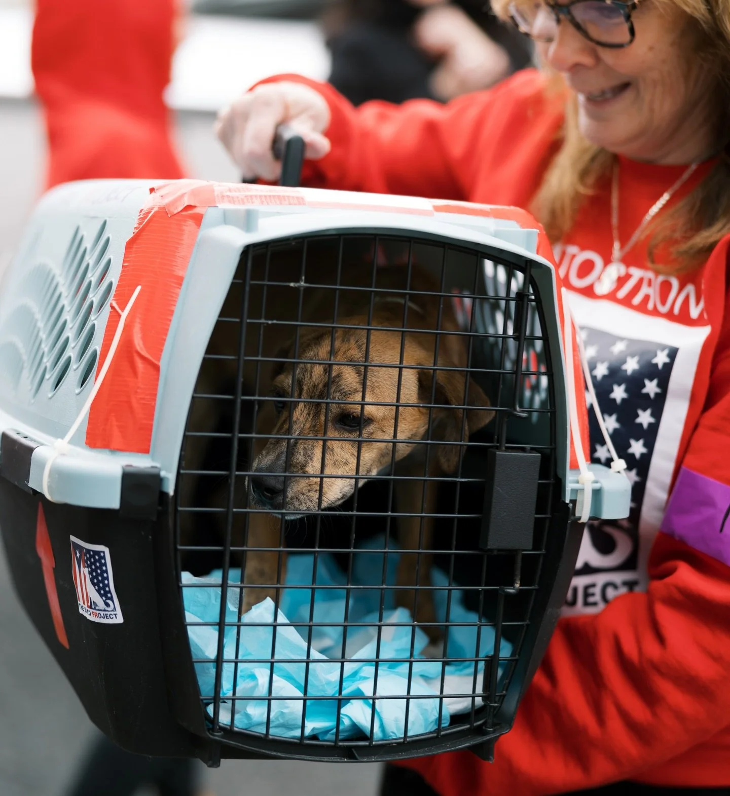 In March, we announced our expanded rescue transport program, SATO United. And in April, we have something NEW to announce: the exact date of our inaugural SATO United flight!!!

On MAY 16th, a plane will leave Puerto Rico with dozens of satos and ga