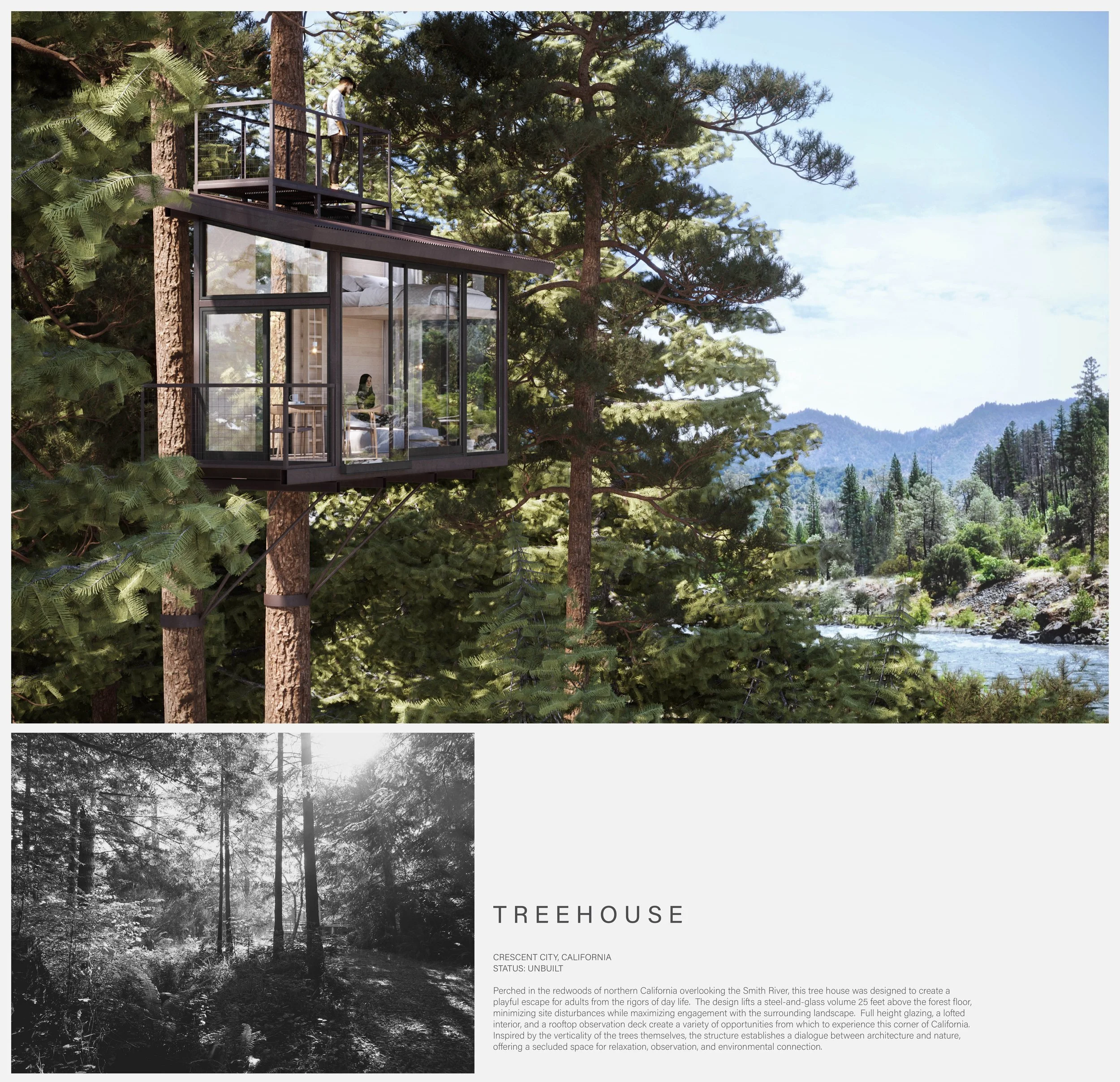 Treehouse 1.jpg