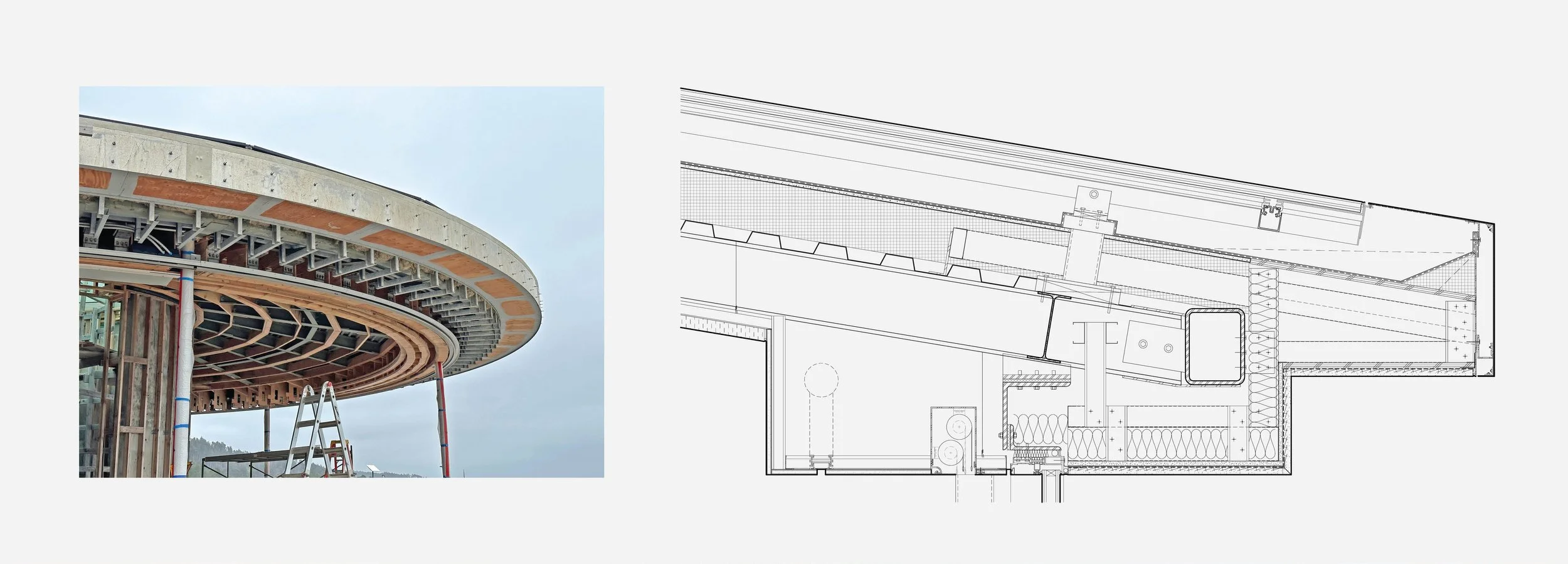 Timber 4.jpg