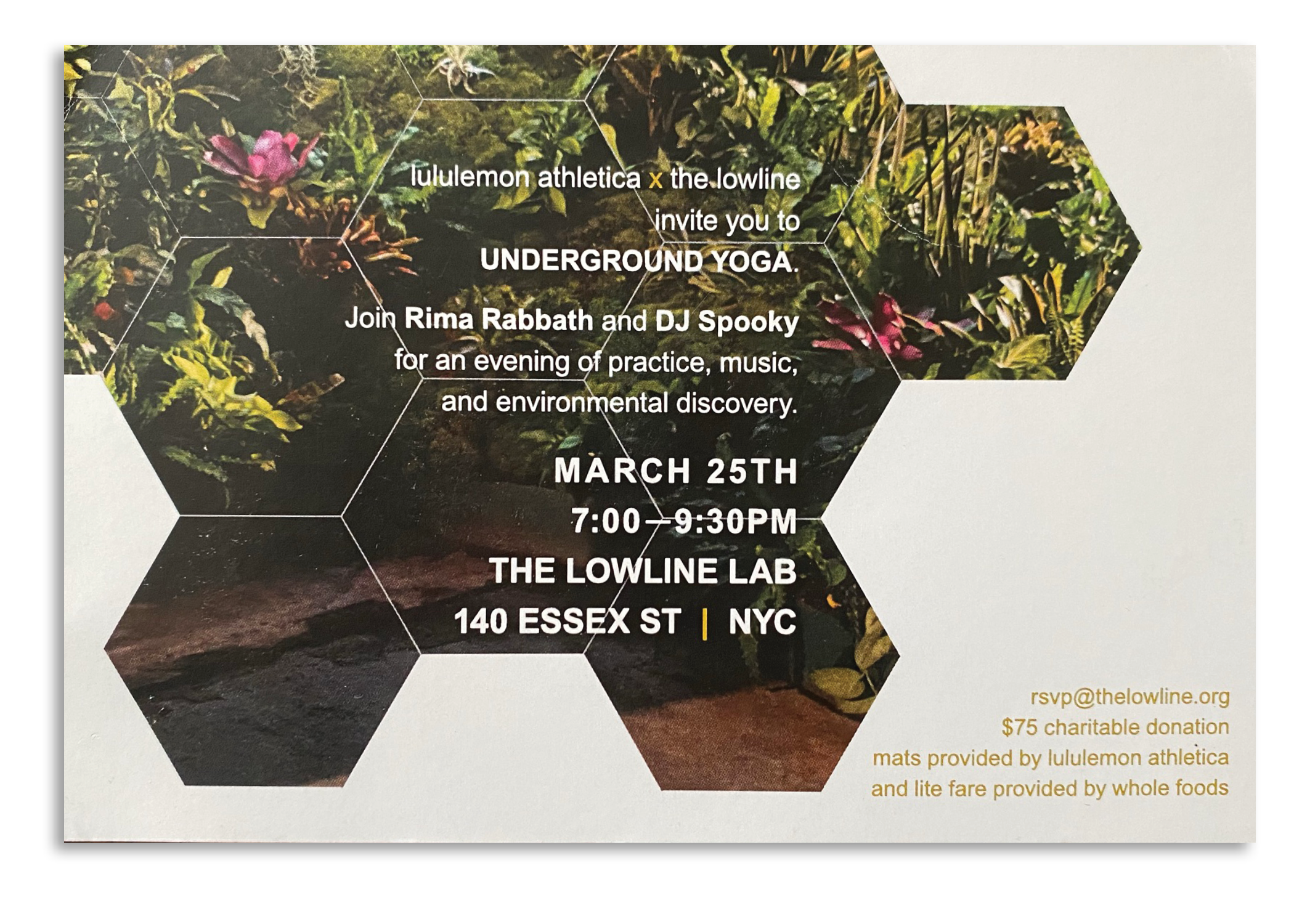 lowline2.png