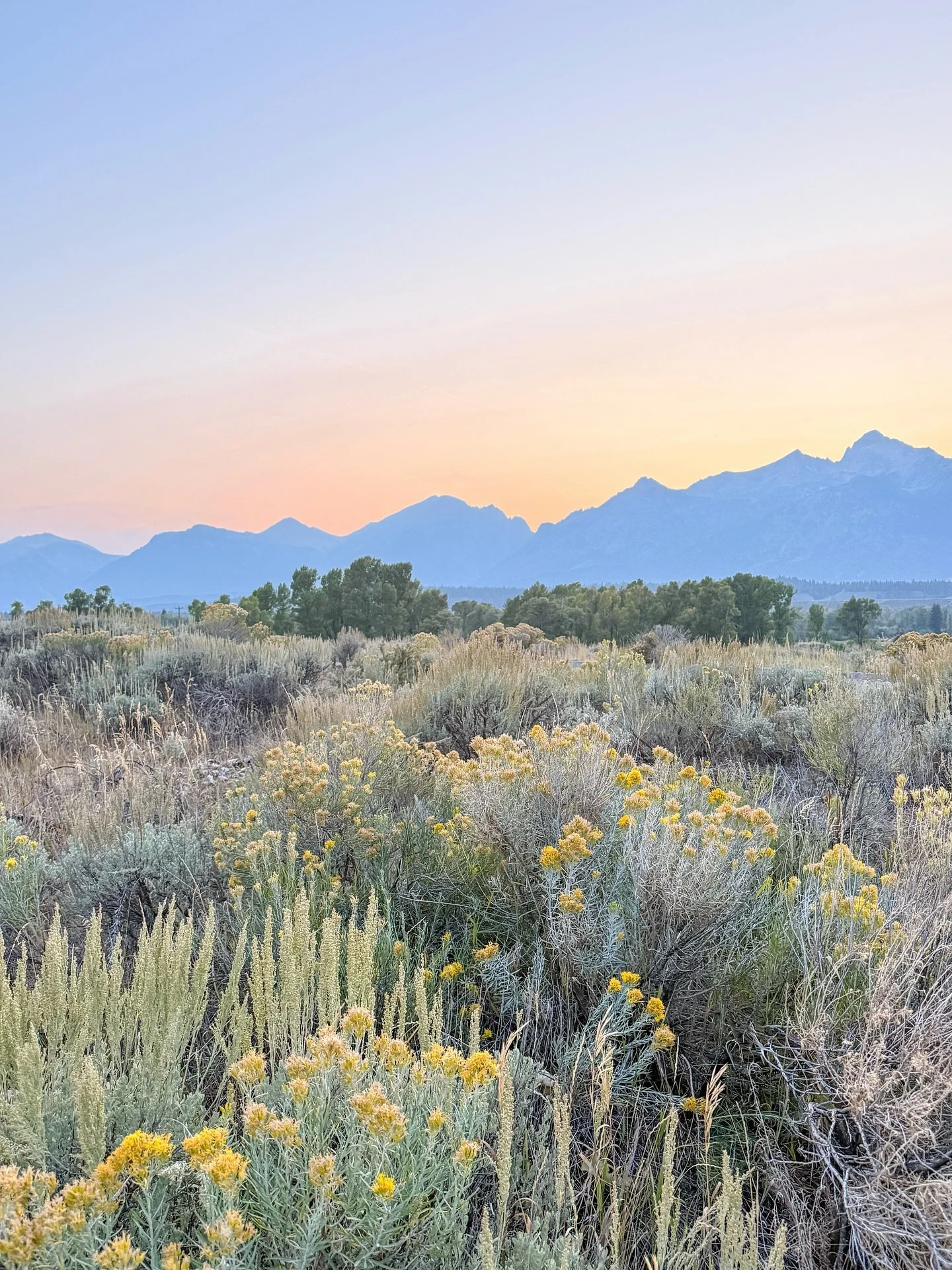 Talk about exceeding expectations. Jackson Hole was everything we could have hoped for, but so much more.
We know you don’t need another “top hotels” list, you need someone to tell you which is the best one for you.
During our lat