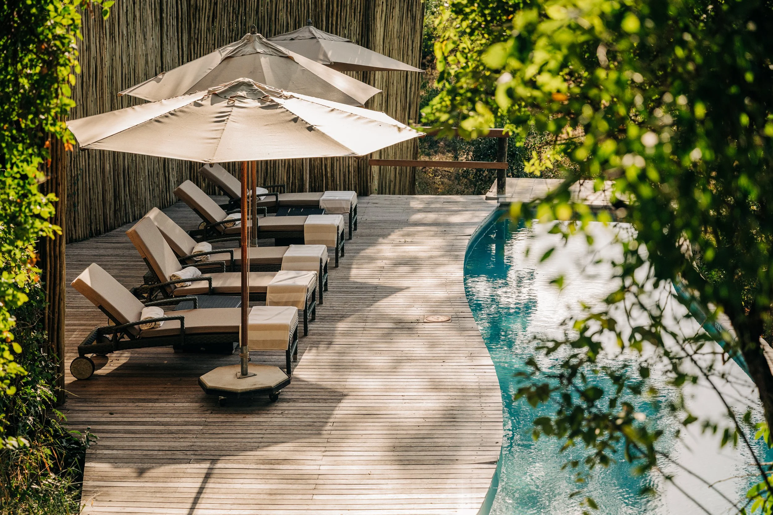 Londolozi Luxury Safari Lodge Pool and Lounge chairs