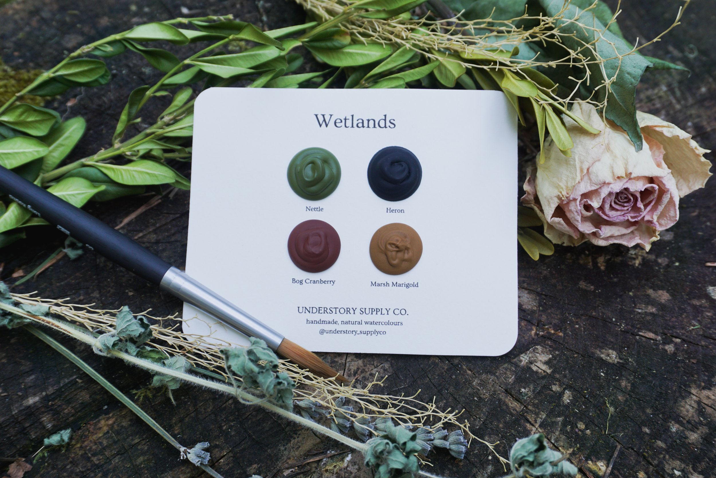 Wetlands - Dot Card