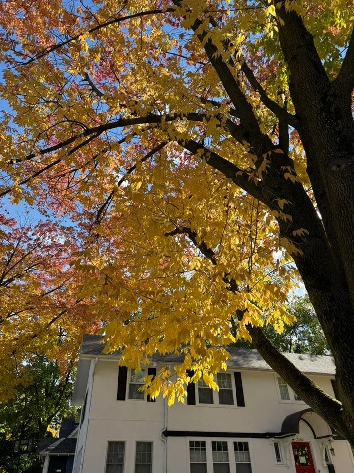 Jump into Fall with a new job! Exciting Store Manager role in Beverly Hills with a contemporary brand. #fashion  #fashionjobs #fashionrecruiter #retailcareers