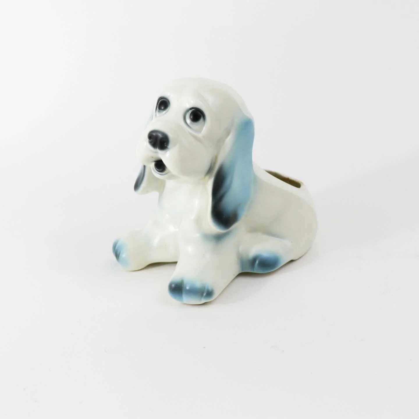 Some new goods in the shop today 🐶