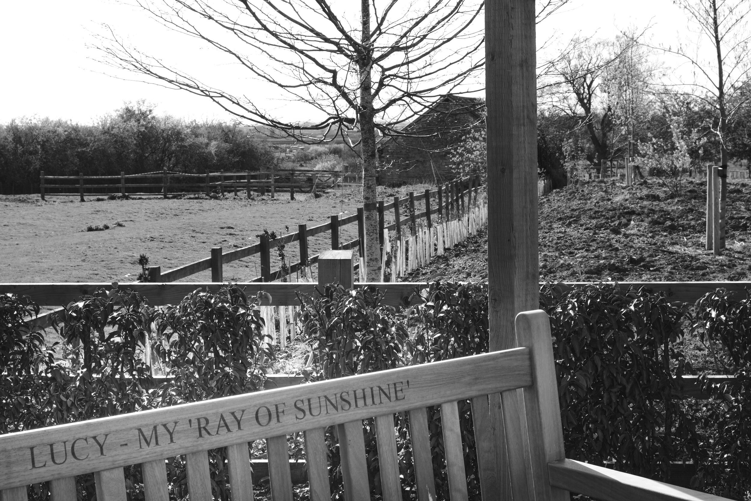 Apr 21 2021-bumble cottage-019.jpg