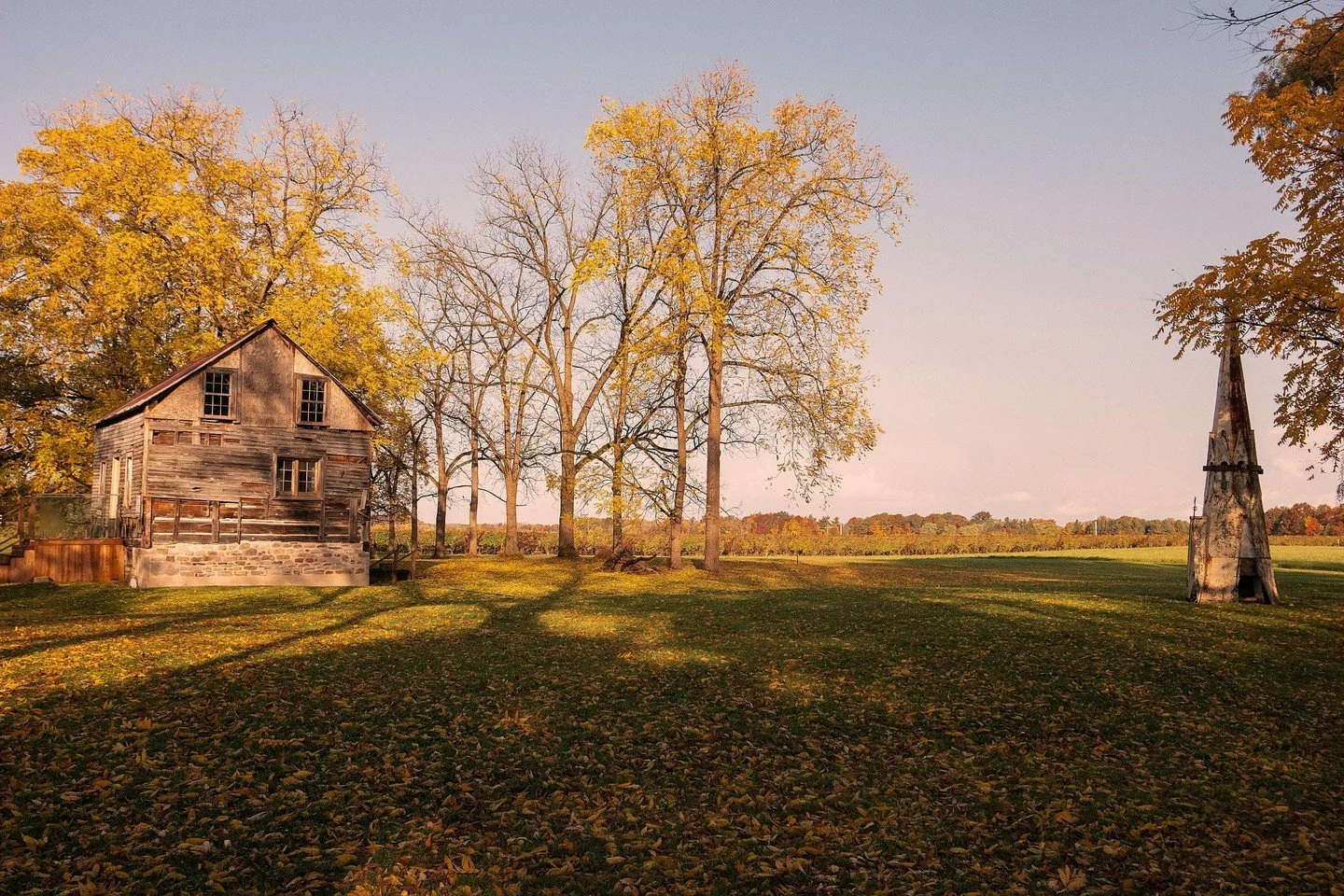 Happy #Thanksgiving! For this thanksgiving we want to give thanks to all of you for supporting The Brown Homestead! 
Whether you have donated, sponsored us, or simply follow us on social media or our email newsletter, thank you!